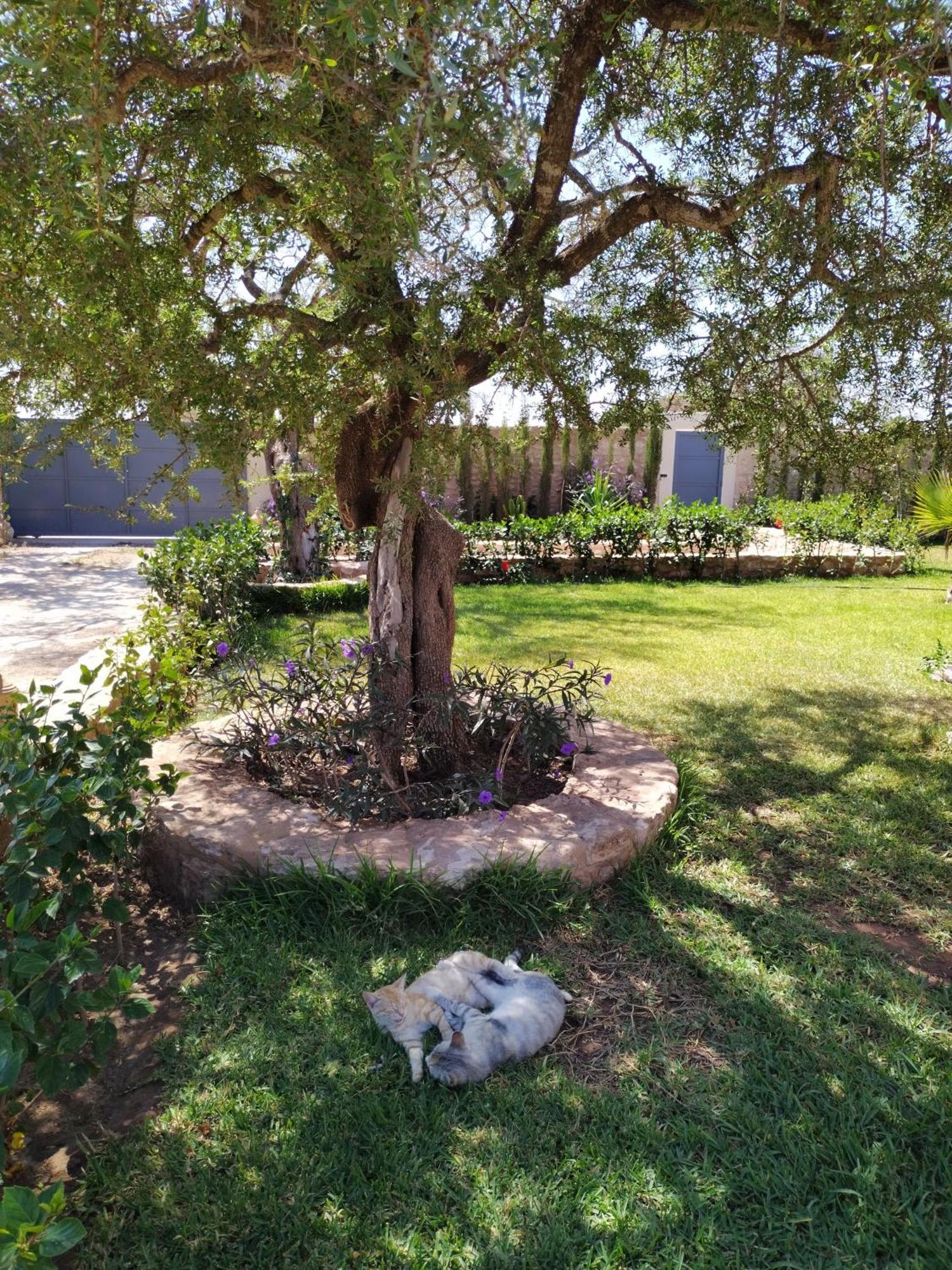 Villa Iyad Essaouira Exterior foto